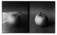/album/apples/sta-web-045-jpg/
